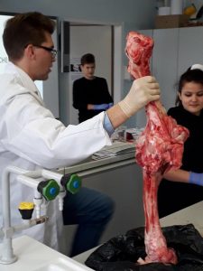 Biologieunterricht mal anders biologie 1