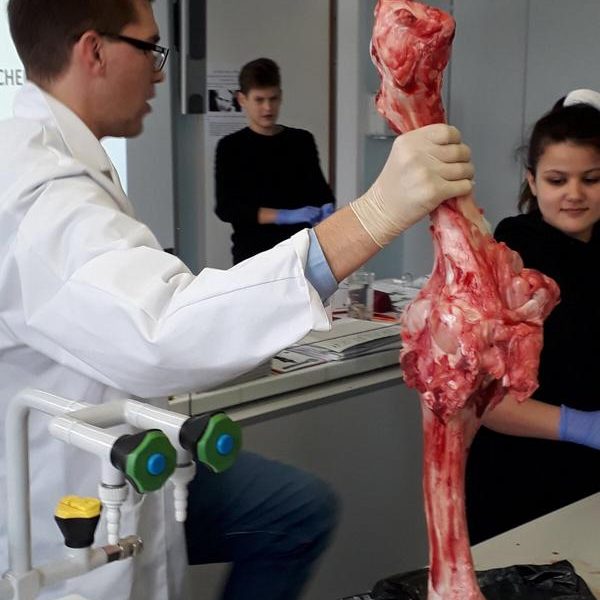 Biologieunterricht mal anders