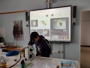 mikroskopieren science