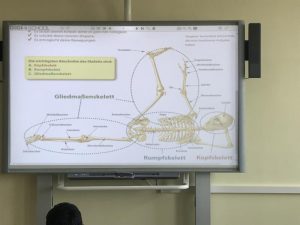 smartboard biologie