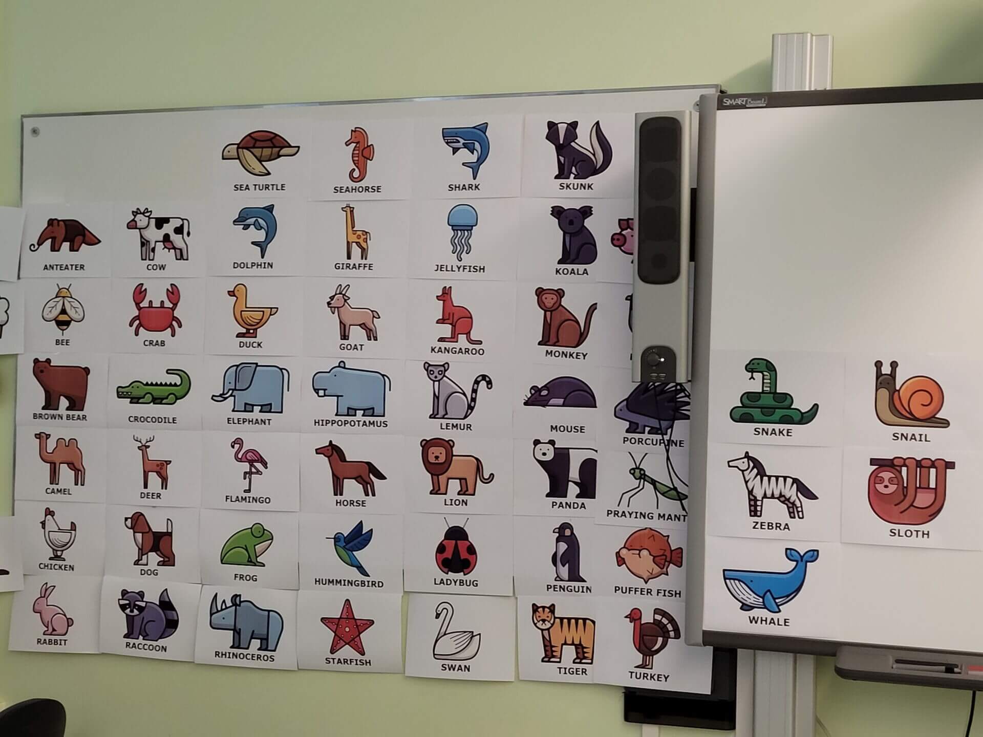 Sommerschule 2023 Sommerschule23 Animals
