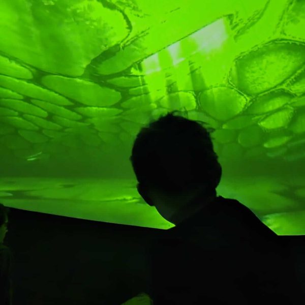 Wanderplanetarium im Turnsaal