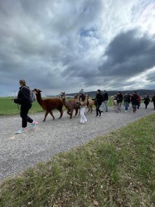 Schulwandertag im 2. Semester wandertag 31maerz25 1