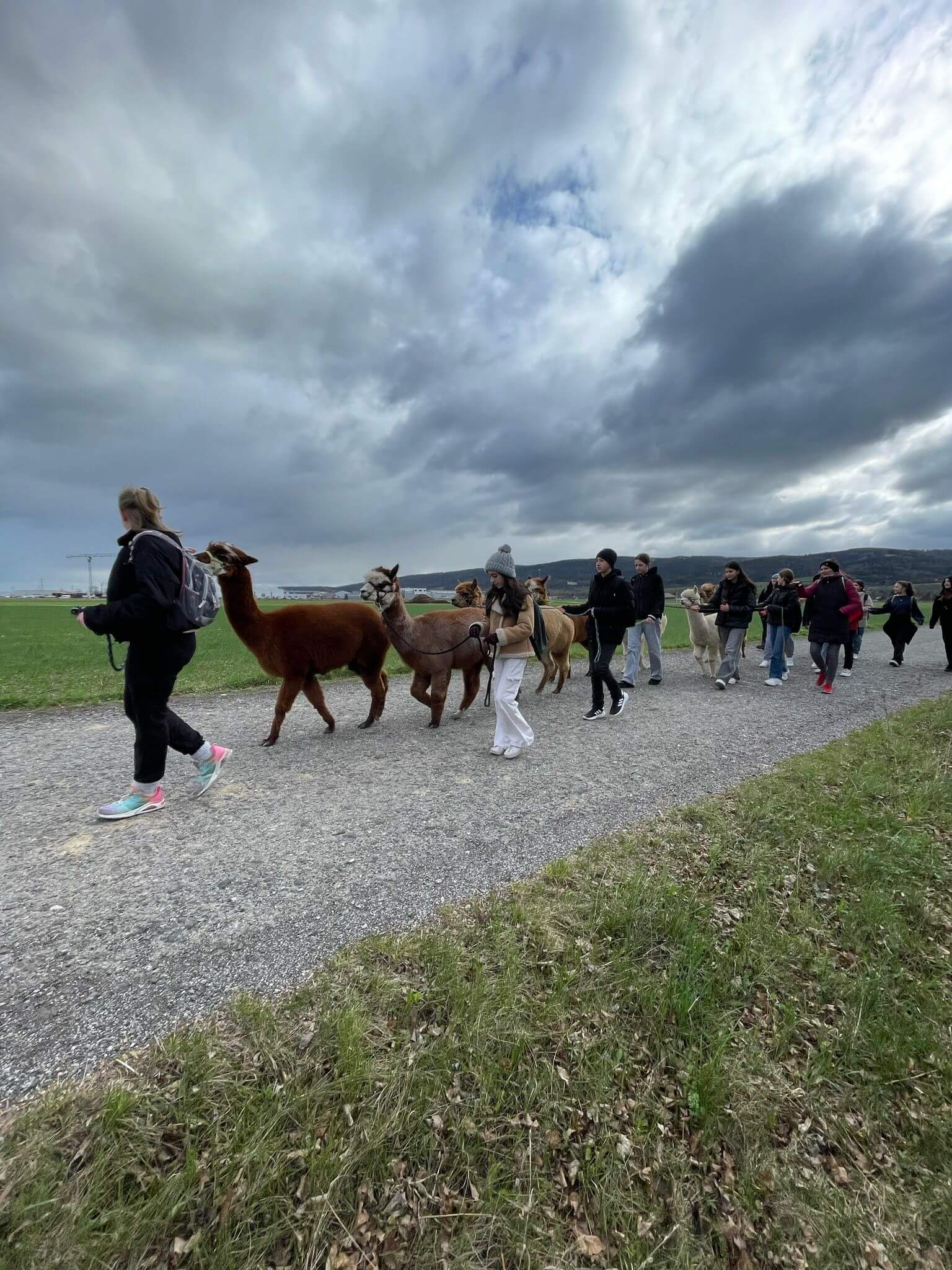 Schulwandertag im 2. Semester Wandertag 31Maerz25 1