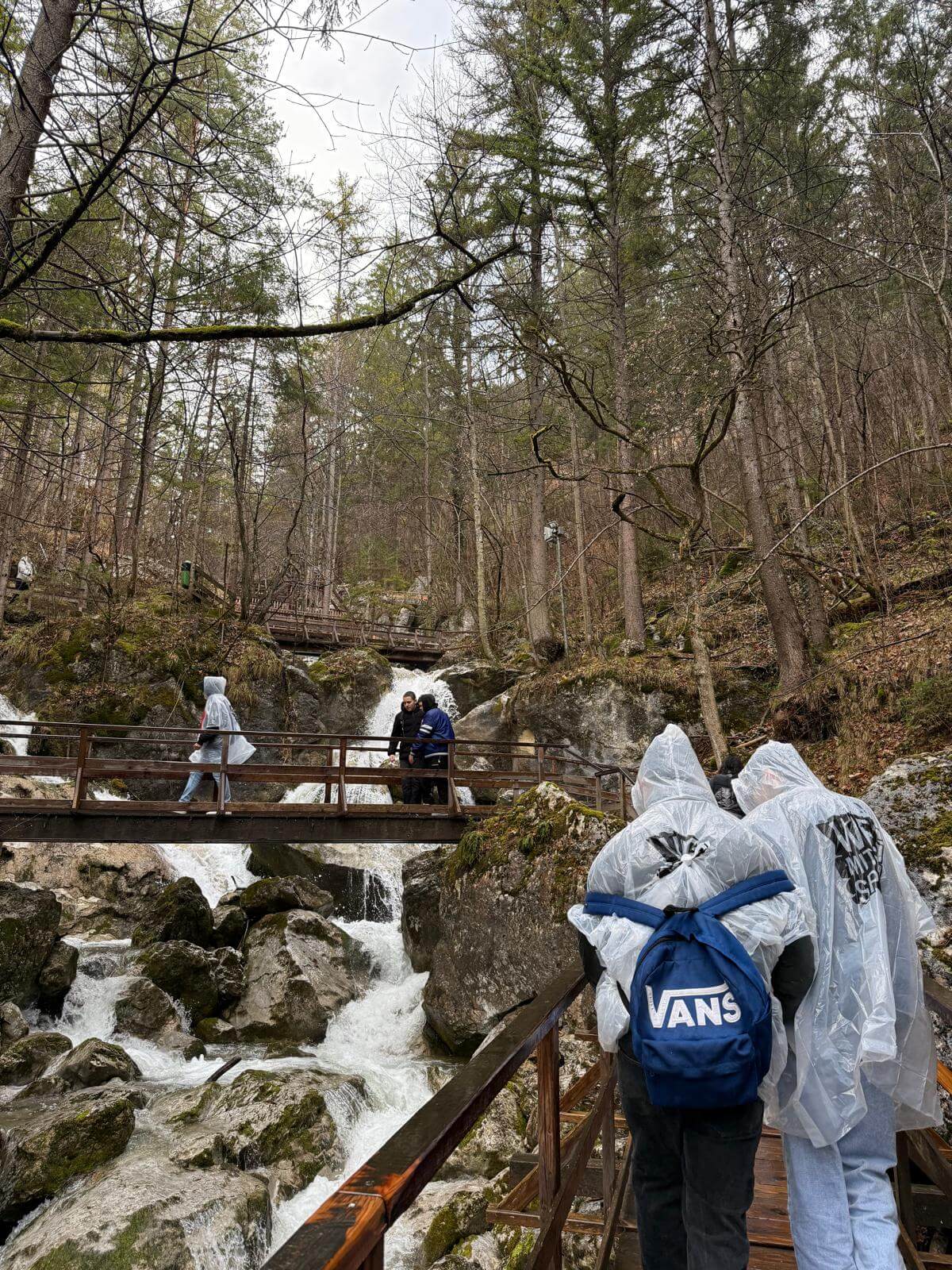 Schulwandertag im 2. Semester Wandertag 31Maerz25 32