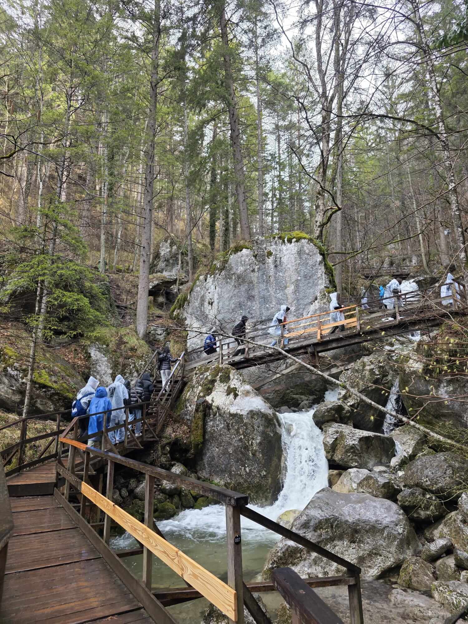 Schulwandertag im 2. Semester Wandertag 31Maerz25 33