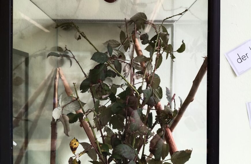 1a – Natur im Klassenzimmer
