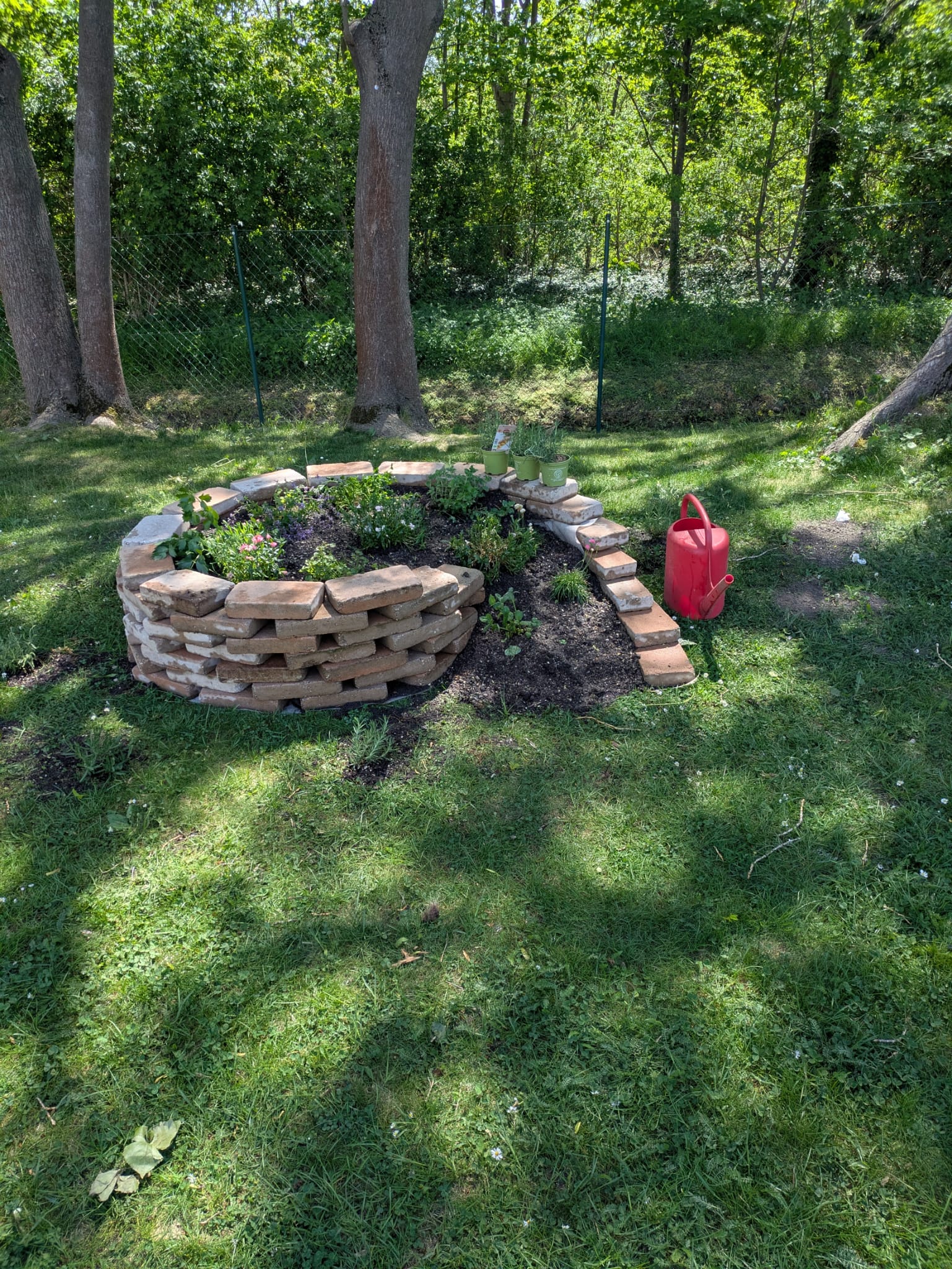 1c gartenprojekt 04mai26 4