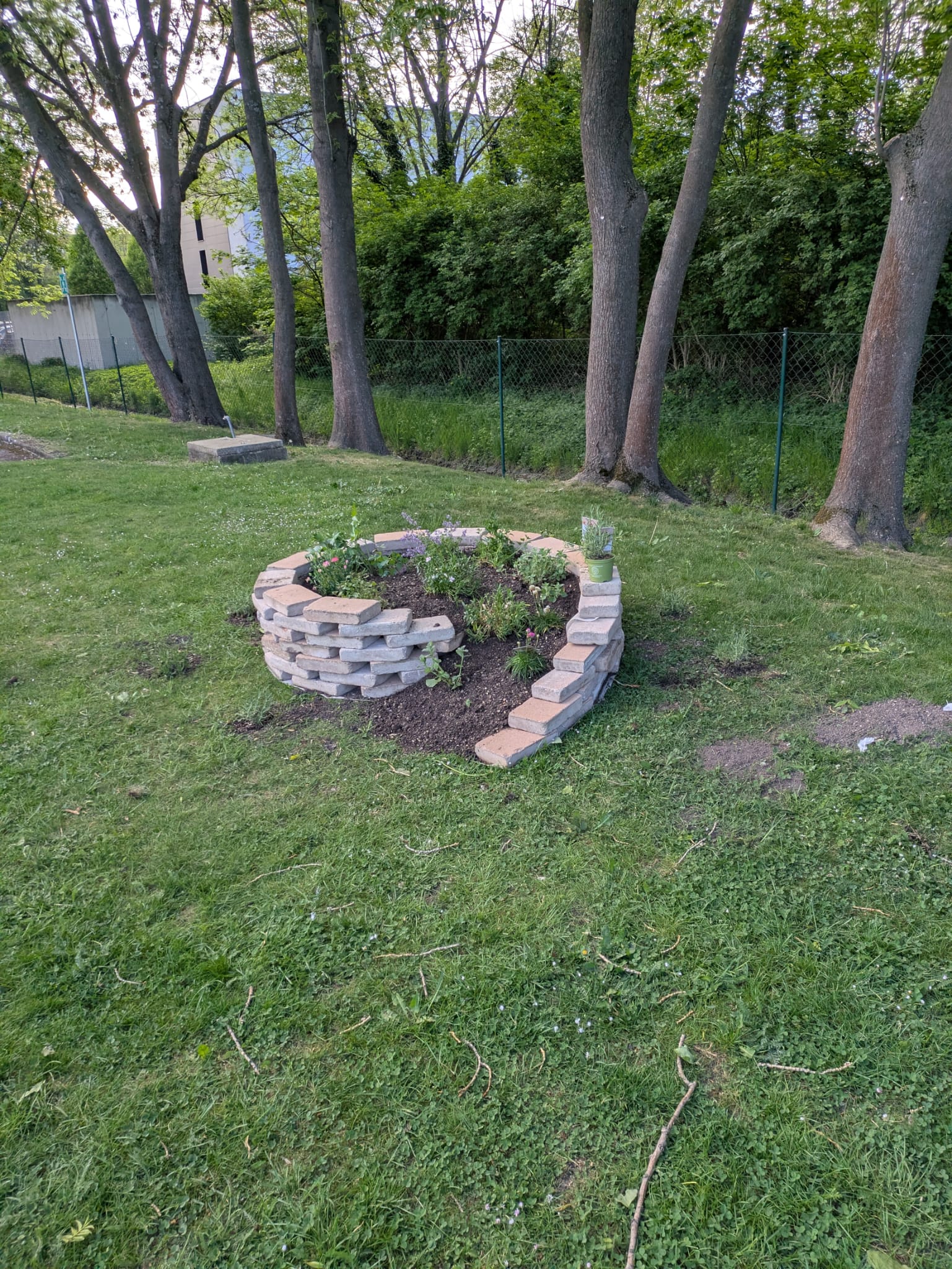 1c gartenprojekt 04mai26 5