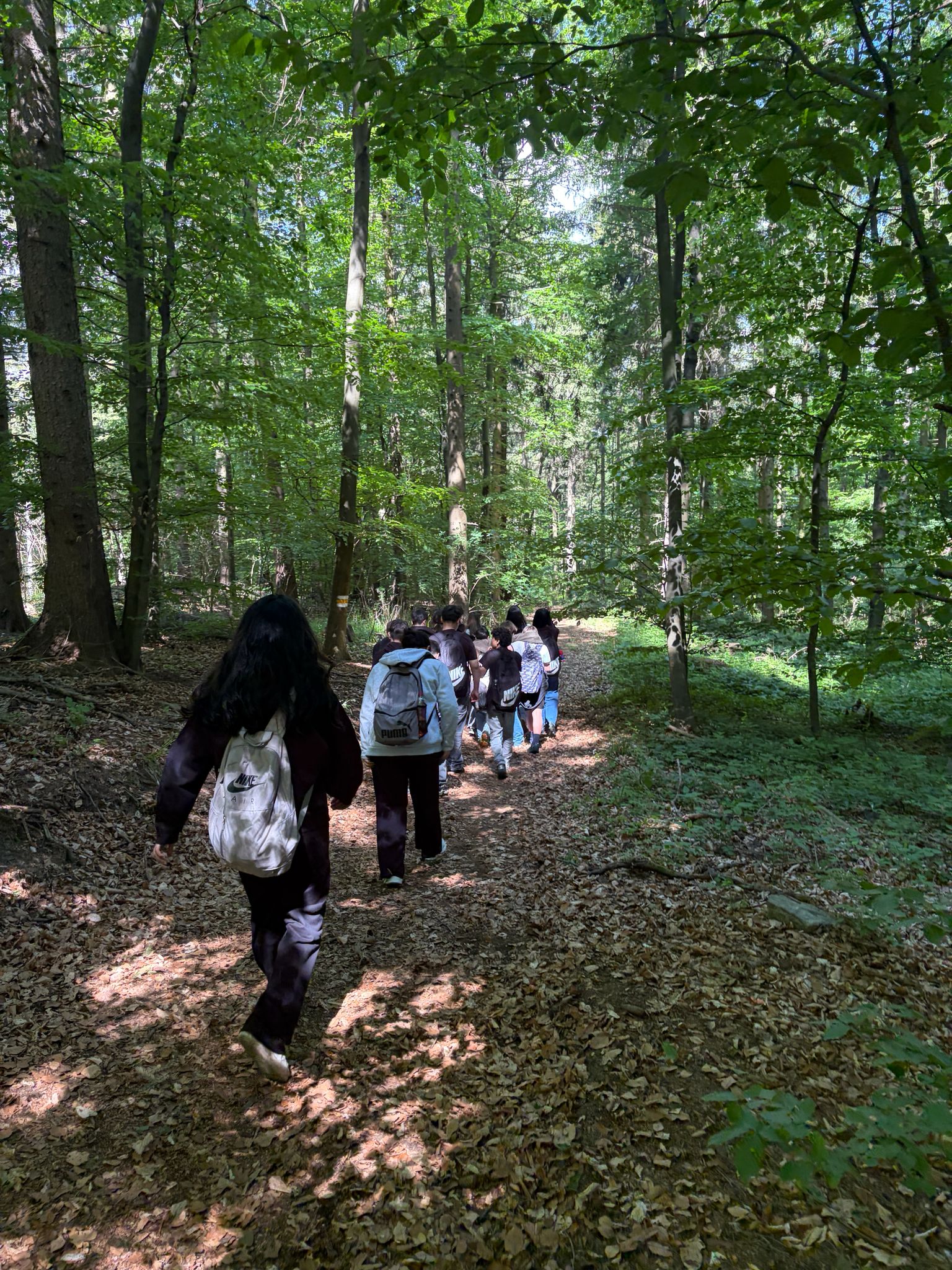 waldjugendspiele2kl 20mai26 2